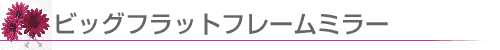 ビッグフラットフレームミラー