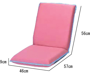 RC-001 ���T�C�N�����֎q�@�s���N�@5,800�~
